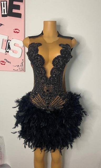 Black Swan Dress